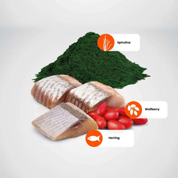 farmina_spirulina_herring_protein_sources.jpg