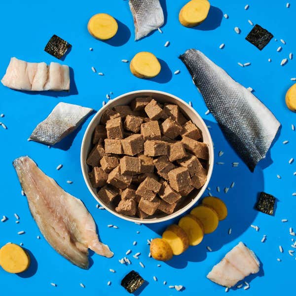 fg_fish_food_shot_6cumbgyabip3nrlb.jpg