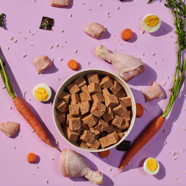 fg_puppy_chicken_food_shot_kzngd3pbc8urkrdr.jpg