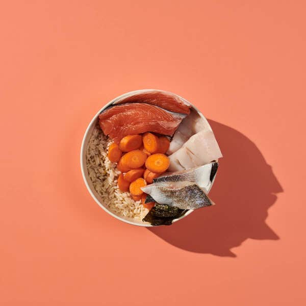fg_salmon_fresh_ingredients_i87qxev1fdj3xosa.jpg