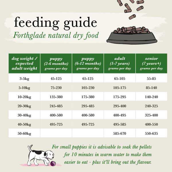 forthglade_complete_dry_feeding_guides_3_1_teiscpxbbqof5zpv.jpg