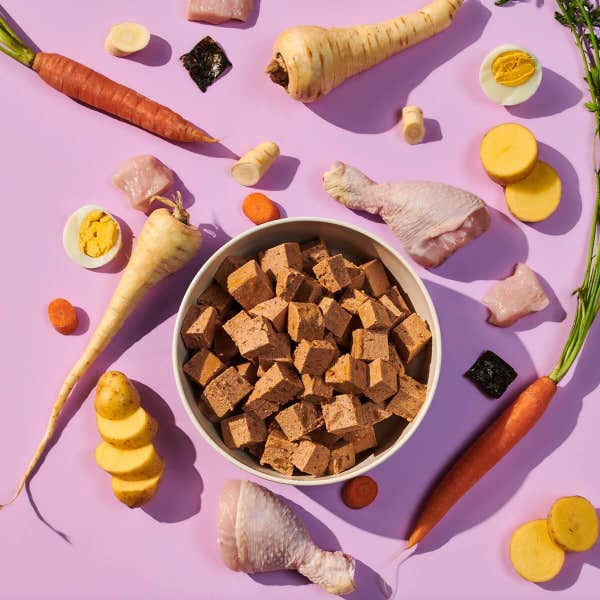 gf_puppy_food_shot_ol4hv8sk9wazpzq8.jpg