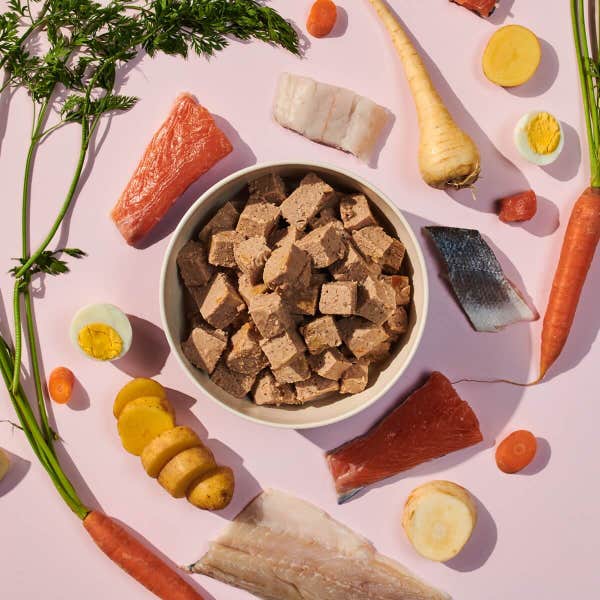 gf_salmon_food_shot_fekojbk6lnwojo5k.jpg