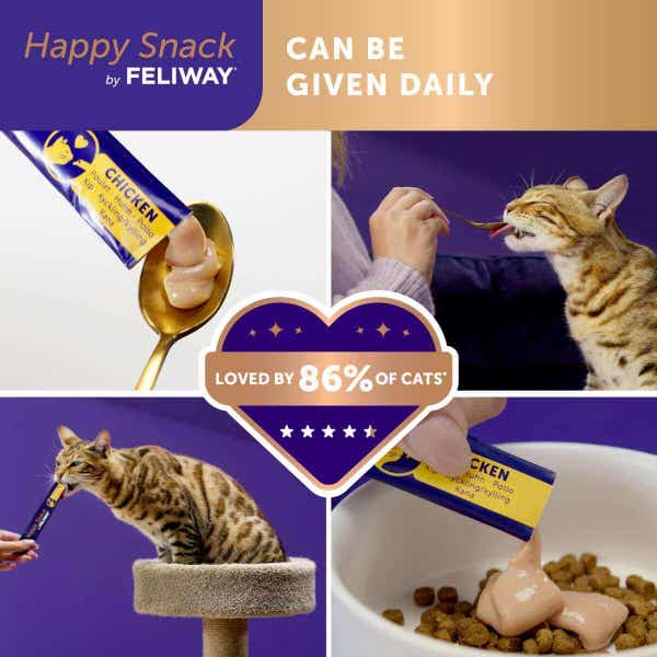 happy_snack_carousel_image_5_1_1_ivjpblrbkfigqwe3.jpg
