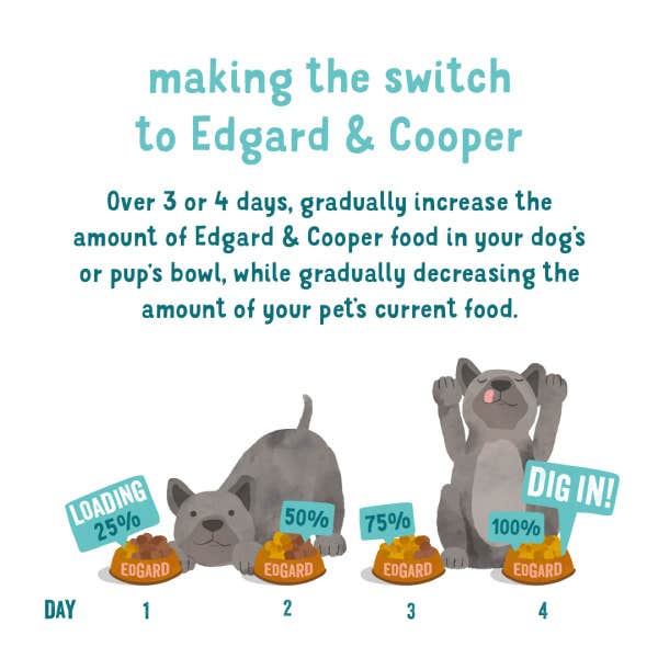 make_the_swtich_dog_transition_diet_switching_e-comm_imagery_guide.jpg