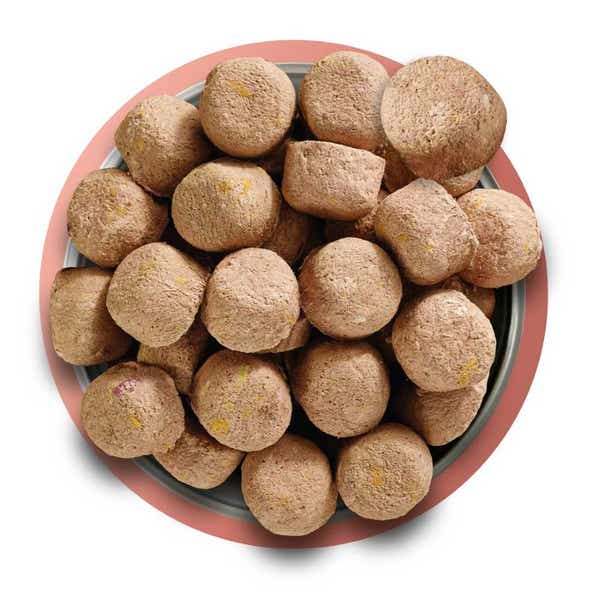 natures_menu_raw_freeze-dried_dog_food_beef_food_shot.jpg