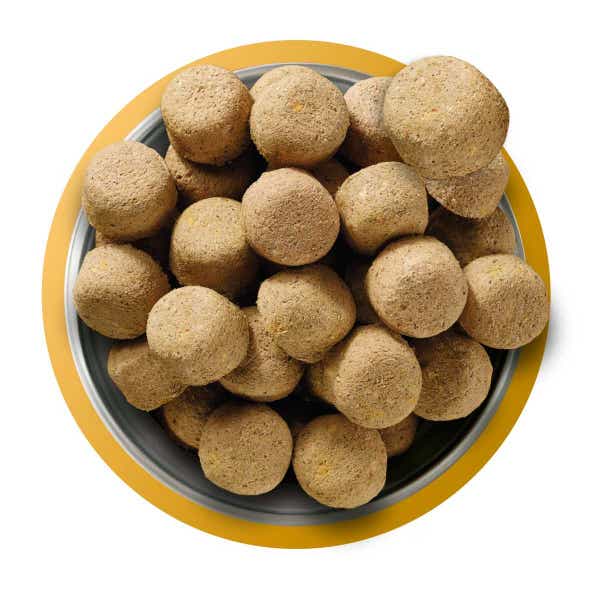 natures_menu_raw_freeze-dried_dog_food_chicken_food_shot.jpg