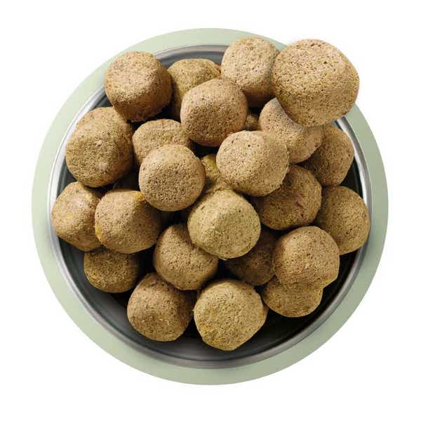 natures_menu_raw_freeze-dried_dog_food_lamb_food_shot.jpg