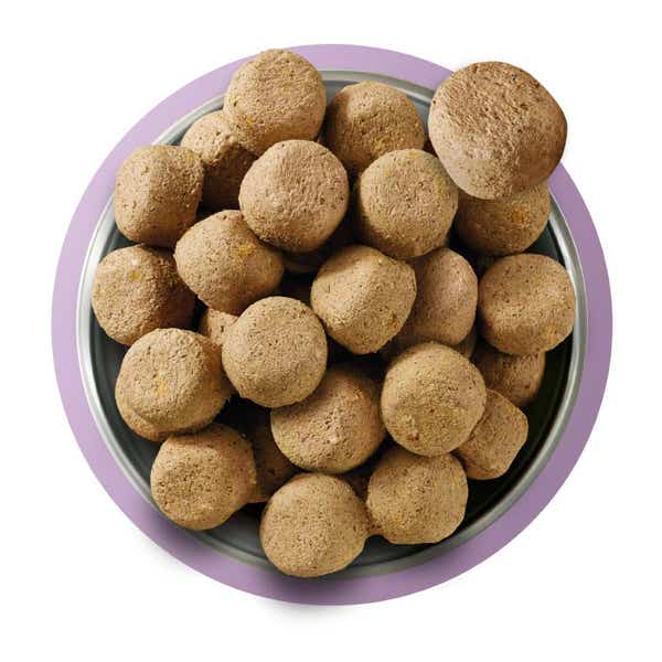 natures_menu_raw_freeze-dried_dog_food_turkey_food_shot.jpg