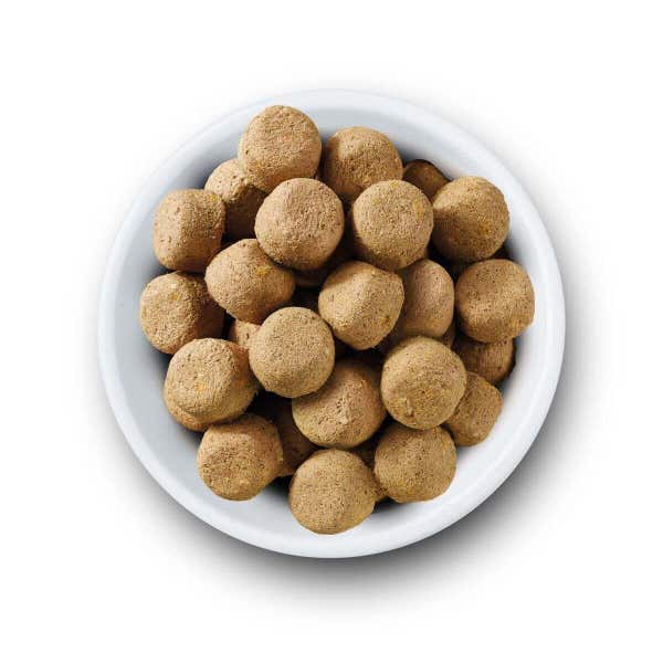 nvfdmits_nvfdmit_-_freeze_dried_complete_food_turkey_1_kcocomjx7r26namr.jpg