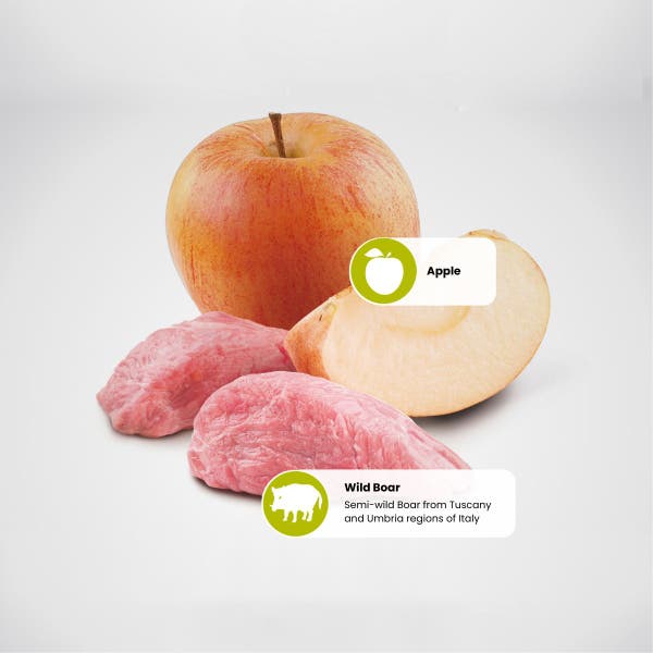 protein_sources_-_boar_-_apple_1.jpg