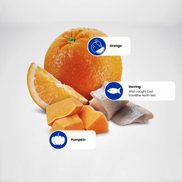 protein_sources_-_herring-orange.jpg