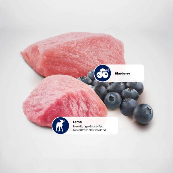 protein_sources_-_lamb_-_blueberry.jpg