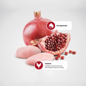 protein_sources_-_pomegranate-chicken_1.jpg