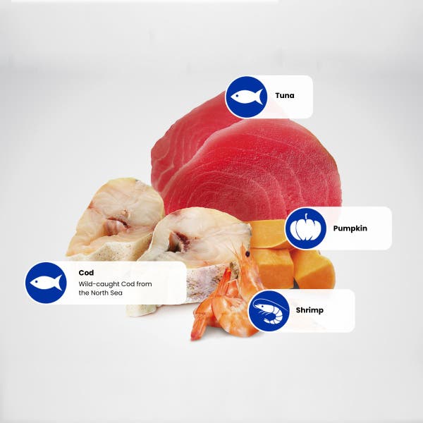 protein_sources_-_tuna-cod-shrimp-pumpkin_1.jpg