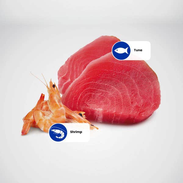 protein_sources_-_tuna_shrimp_sardine.jpg