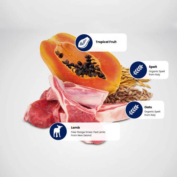 protein_sources_2.jpg