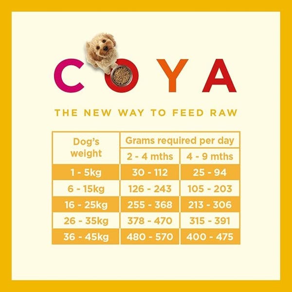 puppy-feeding-guide.jpg