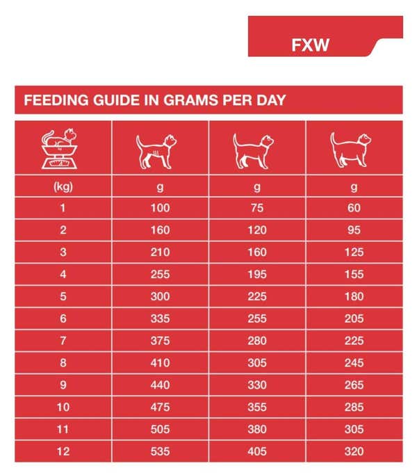 specific_fxw-p_adult_wet_cat_food_12x85g_pouches_1_ithzbkkv75rekjex.jpg
