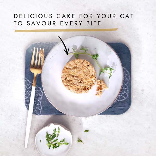 t60_gourmet_gold_savoury_cake_meat_8_x_85g__680g__7613036958202.jpg