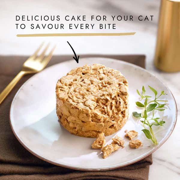 t60_gourmet_gold_savoury_cake_meat_and_vegetables_8_x_85g_7613036968249.jpg