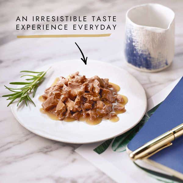 t60_gourmet_perle_ocean_collection_mini_fillets_in_gravy_40_x_85g__3400g__7613037227543.jpg