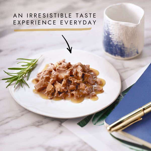 t60_gourmet_perle_ocean_delicacies_mini_fillets_in_gravy_12_x_85g__1020g__7613030955016.jpg