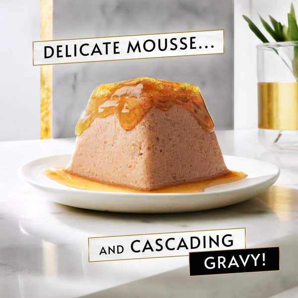 t60_gourmet_revelations_mousse_with_tuna_and_a_cascading_gravy_4_x_57g__228g__8445290026453.jpg