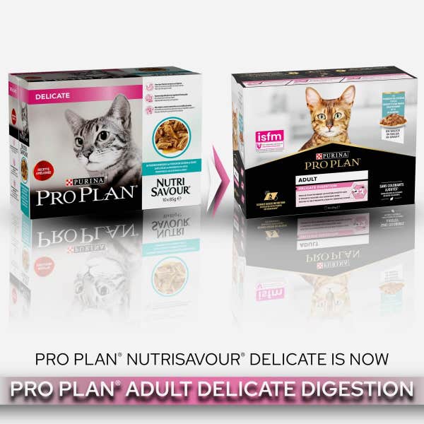 t60_pro_plan_adult_with_oceanfish_in_gravy_10_x_85g__850g__2gex4v7gm8onlyni.jpg