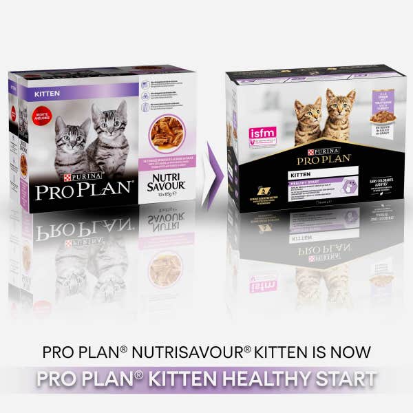 t60_pro_plan_kitten_with_turkey_in_gravy_10_x_85g__850g__0k8vy3pbvnlfn3q0.jpg