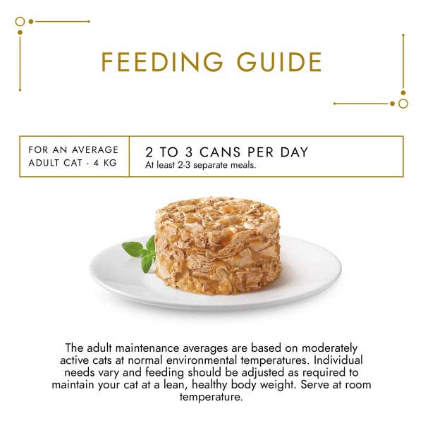 t61_gourmet_gold_savoury_cake_meat_and_vegetables_8_x_85g_7613036968249.jpg