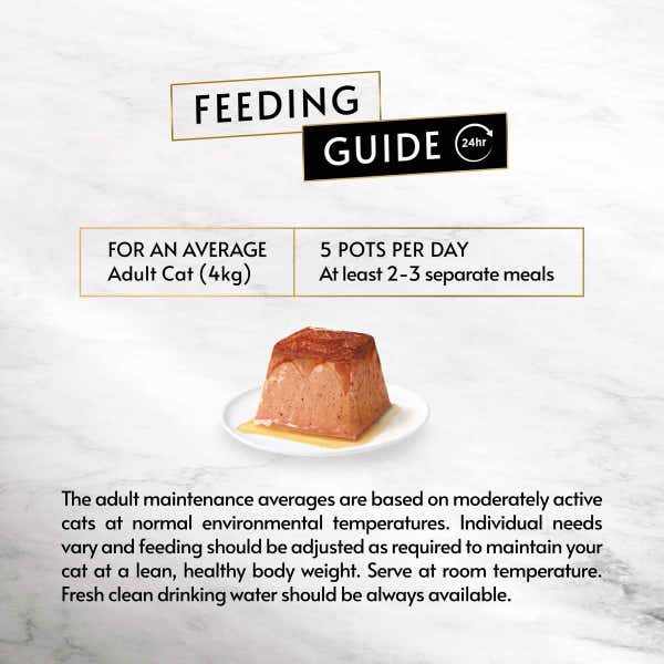 t61_gourmet_revelations_mousse_with_tuna_and_a_cascading_gravy_4_x_57g__228g__8445290026453.jpg
