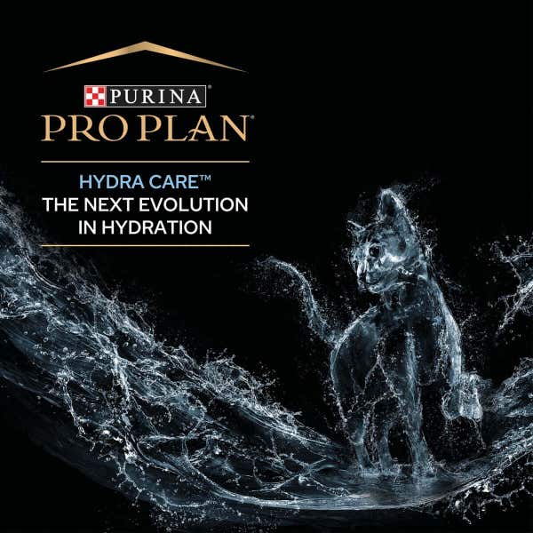 t61_pro_plan_hydra_care_feline_hydration_supplement_10_x_85g__850g__1_wvs7juyh1bmcuaad.jpg