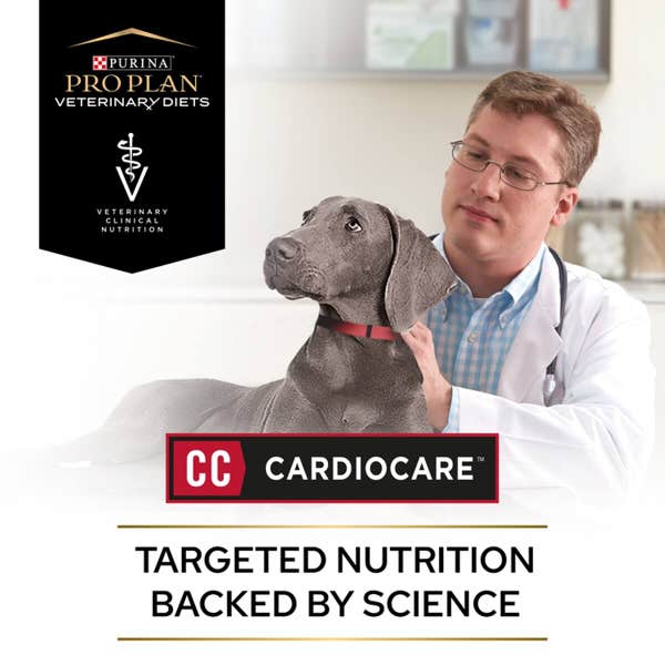 t62_pro_plan_veterinary_diets_cc_cardiocare_3kg_3elj2vcmyh1cutaa.jpg
