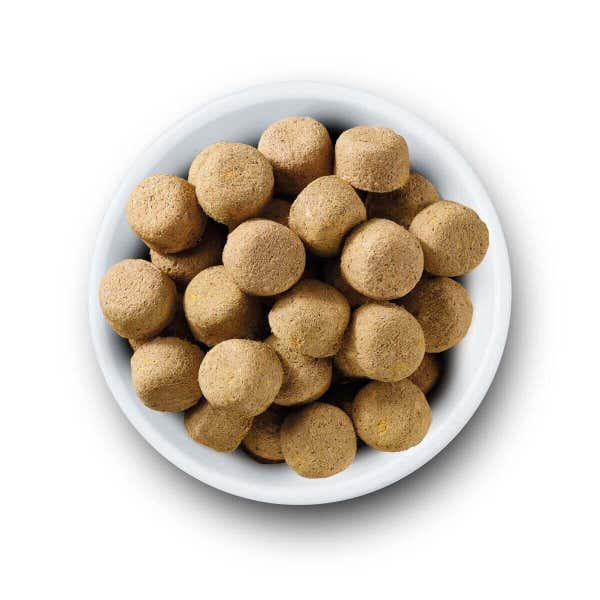 ticd_nvfdmic_-_freeze_dried_complete_food_chciken_1_1jpv5a0trkget9vz.jpg